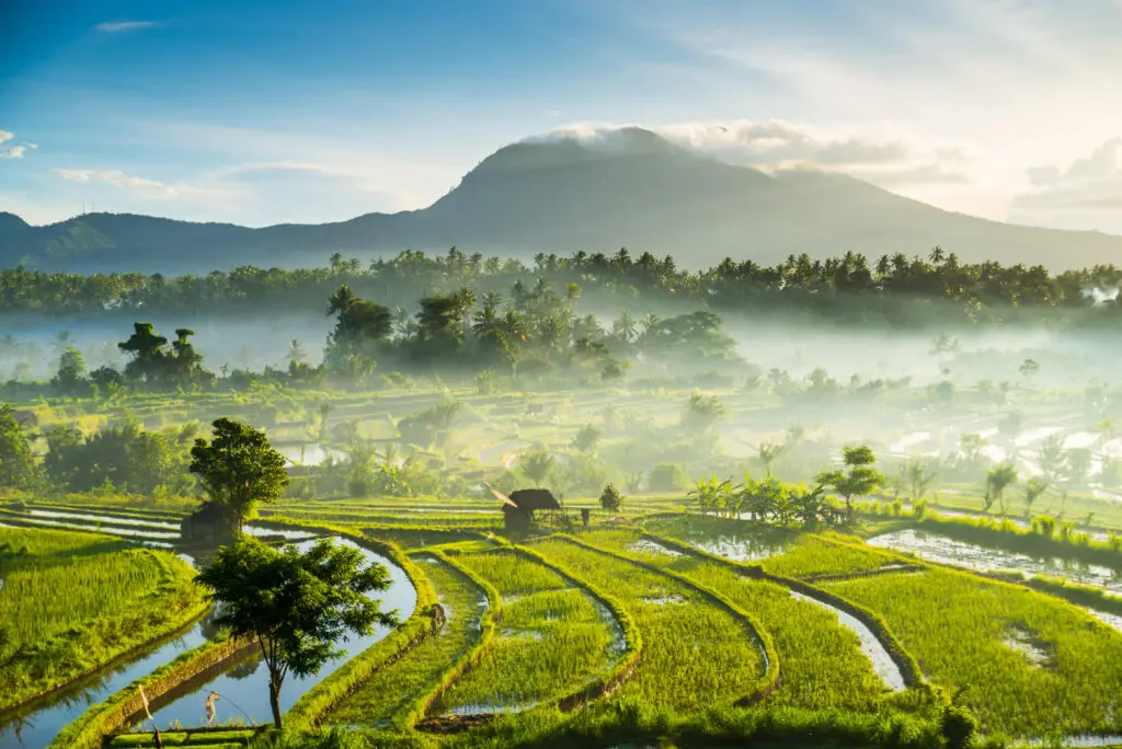 Morning mist over Sidemen Valleyโs lush rice terraces, a peaceful Hidden Gems in Bali.