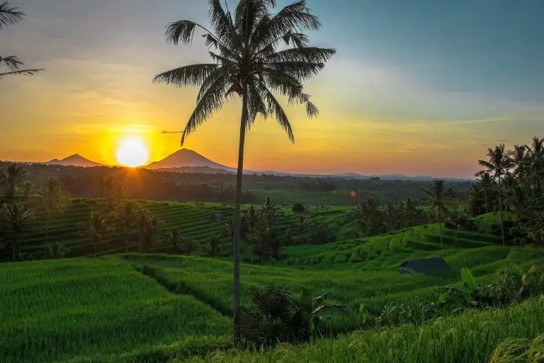 Sunrise at Jatiluwih Rice Terraces, a UNESCO-listed Hidden Gems in Bali.