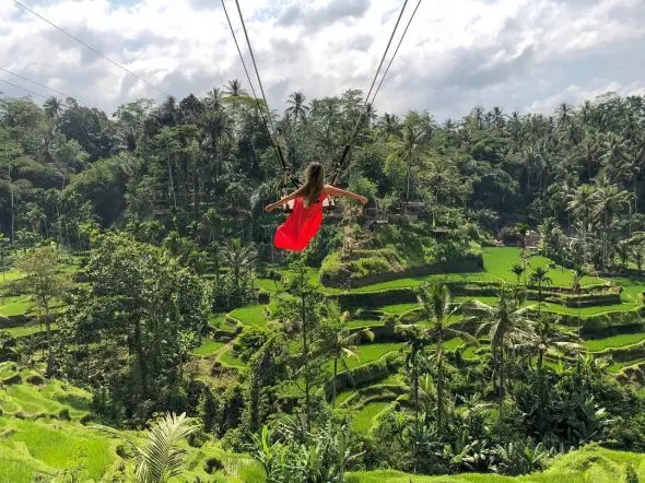 Bali local tour operators offering jungle swing experience in Ubud