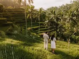 Couple exploring rice terraces on a transformative journey in Bali, surrounded by lush greenery.