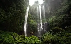 Hidden jungle waterfall surrounded by lush greenery, a must-see during Adventure Tours in Bali.