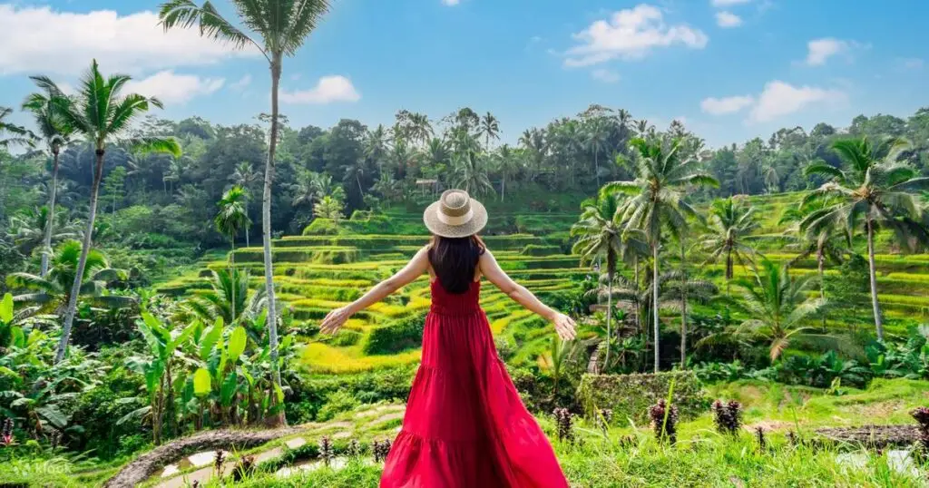 Bali Day Tour packages to explore Bali’s rice terraces and landscapes.