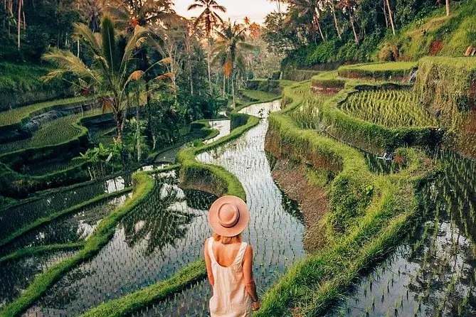 Bali Day Trips exploring rice terraces and authentic Balinese villages.