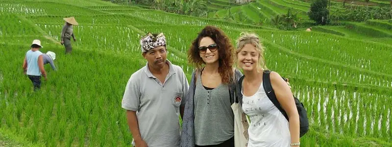 Professional Bali tour guide assisting tourists in rice fields with cultural knowledge