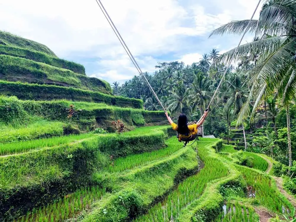 Bali Day Tour to Tegalalang Rice Terraces with scenic rice fields.