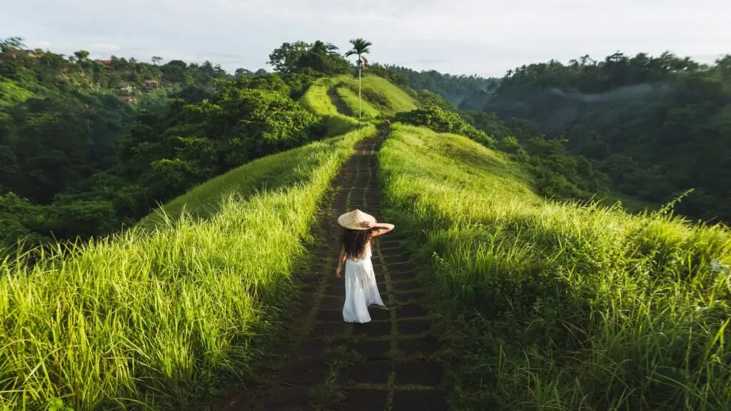 Walking through lush green rice terraces in Tour Bali Package