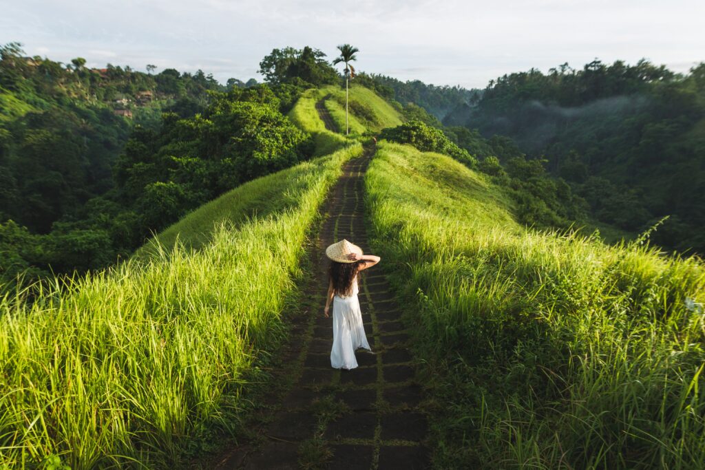 Campuhan Ridge Walk Ubud scenic trekking with Bali Tour Packages