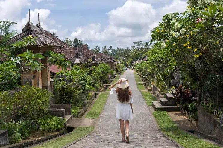 Cultural village trip experience in Ubud with Bali Tour Packages