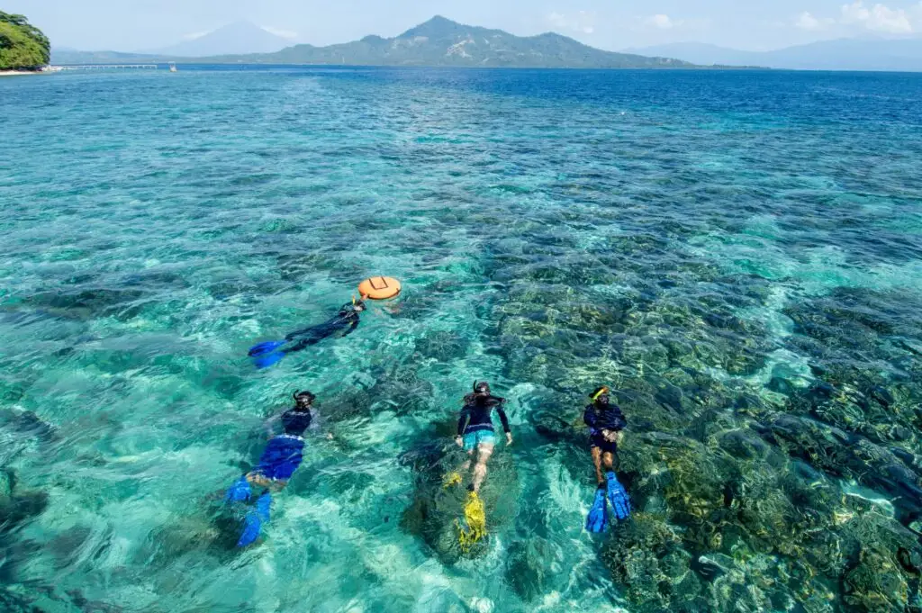 Snorkeling experience during a Bali Day Tour with marine life.