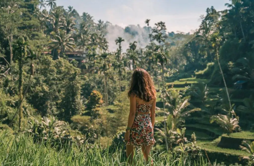 Bali Private Tour itinerary exploring rice terraces and jungle landscapes