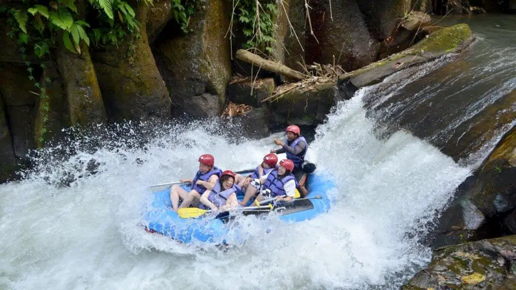 Thrilling rafting activity in Bali Nature Tours with scenic waterfalls and forest views.