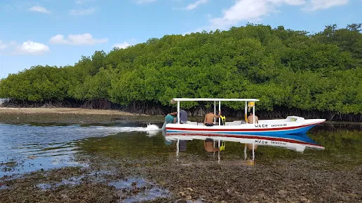 A traditional boat gliding through Bali’s mangrove forest, part of an eco-friendly Bali Family Tour experience.