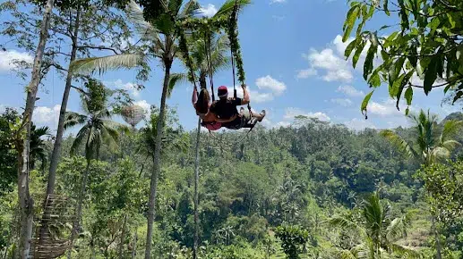 Parents and children on a jungle swing surrounded by lush green forest during their Bali Family Tour adventure.