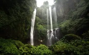 Traveler enjoying a Bali Eco Tour adventure at Sekumpul Waterfall in North Bali with Bali Agung Tour’s private guide.