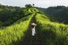 Trusted global DMC in Bali providing personalized travel experiences across top Bali attractions.
