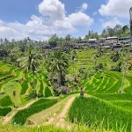 Car Hire Bali with Driver – Custom Private Tour by Bali Agung Tour