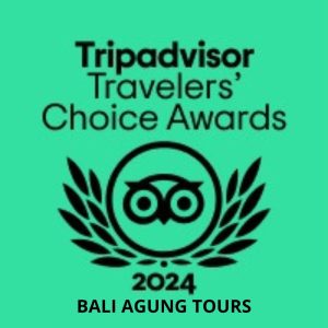 Bali Agung Tours Wins TripAdvisor Traveler’s Choice Award 2024