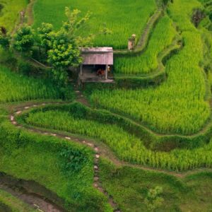 Why Bali Agung is the Best DMC in Bali