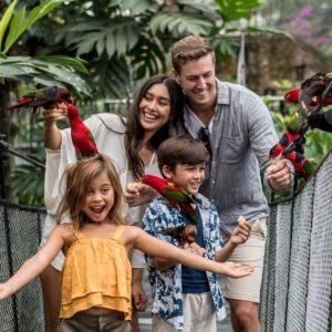 Family Friendly Tours in Bali: Fun Adventures for All Ages