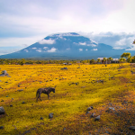 Top Bali Day Trips to Explore Bali’s Hidden Gems with Bali Agung Tour
