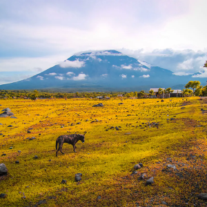 Top Bali Day Trips to Explore Bali’s Hidden Gems with Bali Agung Tour
