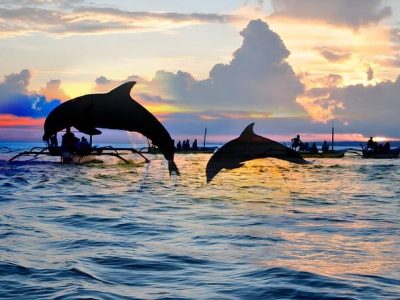 Best of North Bali Beach: Dolphin Watching, Snorkeling, and Breakfast – Combo Package. Starts U$25/Pax